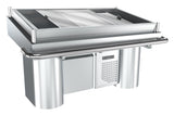 REFRIGERATED FISH COUNTER 2m