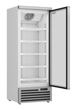FREEZER 1 GLASS DOOR JDE-600F